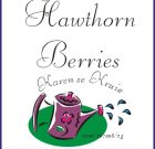 Hawthorn Berries Tincture