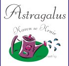 Astragalus Tincture