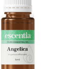Angelica Essential Oil – 10 ml
