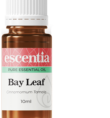 Bay Leaf Essential Oil - 10 ml
