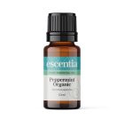Peppermint Organic Essential Oil – 10 ml