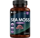 Sea Moss Tablets